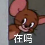 双十一预售哪些值得买,双十一是预售划算还是当天划算