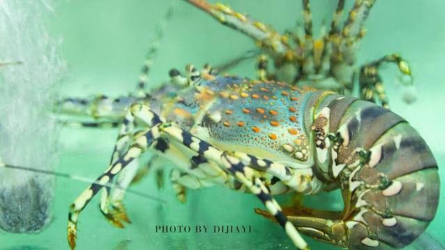 三亚五湾两山一岛旅游攻略,三亚旅拍基地推荐