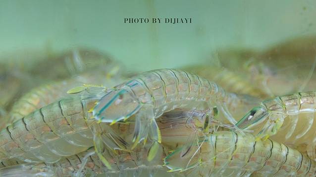 三亚五湾两山一岛旅游攻略,三亚旅拍基地推荐