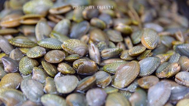 三亚五湾两山一岛旅游攻略,三亚旅拍基地推荐