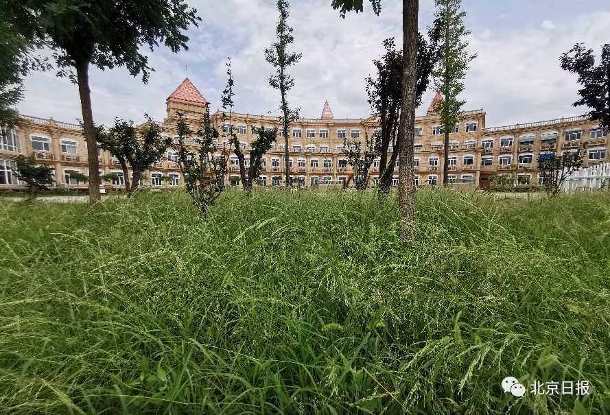 荒草丛生、配套停摆、一个月被诉460次，昌平这个小区牛大了