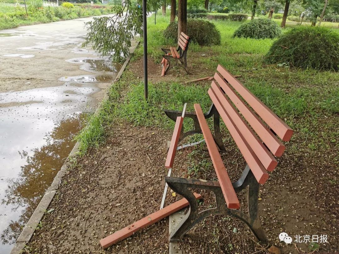 荒草丛生、配套停摆、一个月被诉460次，昌平这个小区牛大了