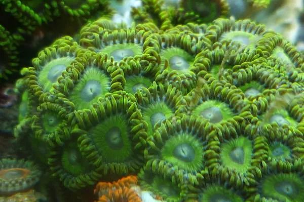 这是人家十年前的缸？我这些年瞎玩了……