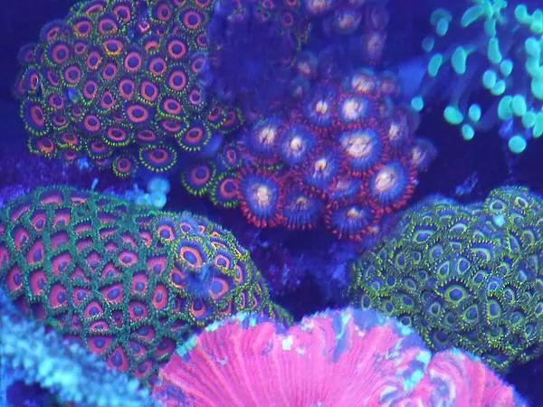 这是人家十年前的缸？我这些年瞎玩了……