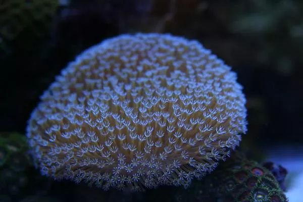 这是人家十年前的缸？我这些年瞎玩了……