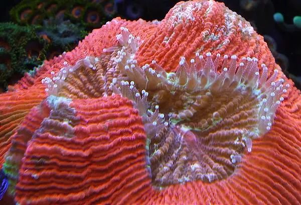 这是人家十年前的缸？我这些年瞎玩了……