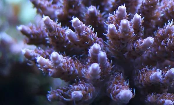 这是人家十年前的缸？我这些年瞎玩了……