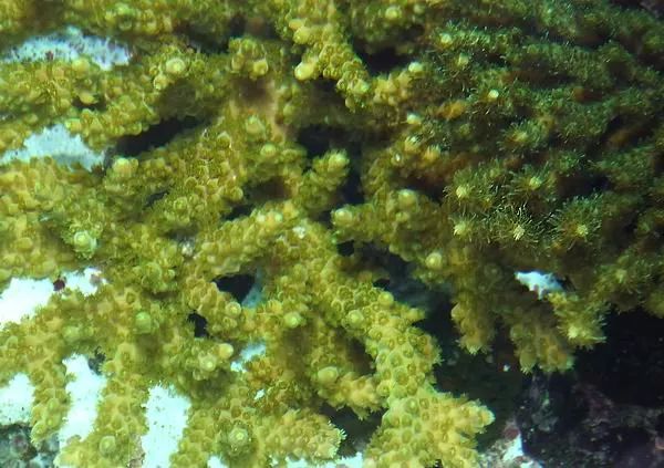 这是人家十年前的缸？我这些年瞎玩了……