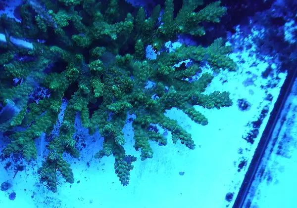 这是人家十年前的缸？我这些年瞎玩了……