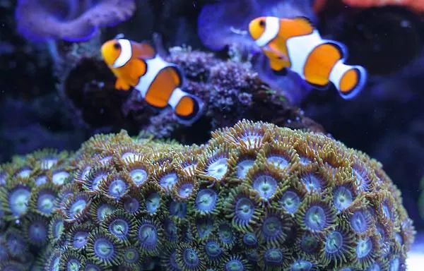 这是人家十年前的缸？我这些年瞎玩了……