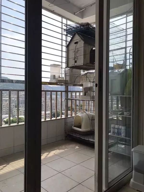 厦门最新租房1000元以下,厦门2024年租房价格趋势