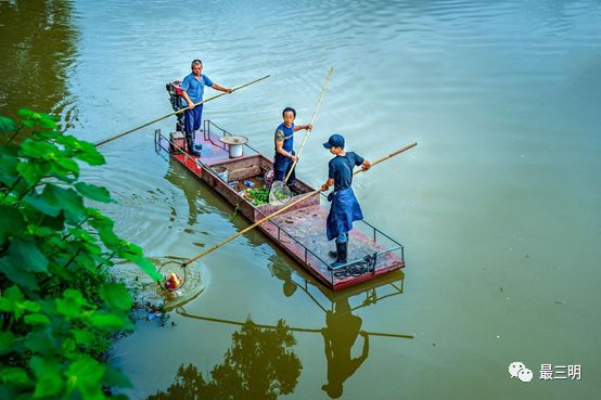 获职工摄影大赛金奖,首届群众舞蹈摄影大赛获奖公告