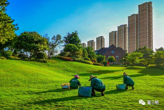 获职工摄影大赛金奖,首届群众舞蹈摄影大赛获奖公告