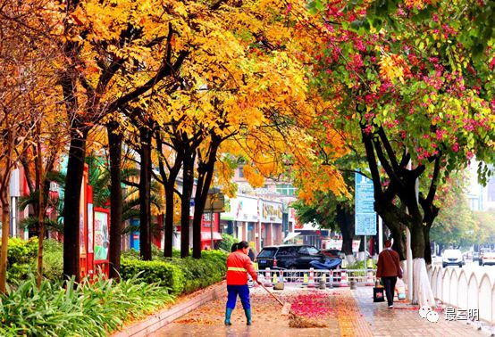 获职工摄影大赛金奖,首届群众舞蹈摄影大赛获奖公告