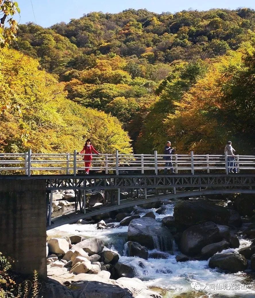最美川西看彩林推荐地,美哭了这才是虹口秋天最美的地方
