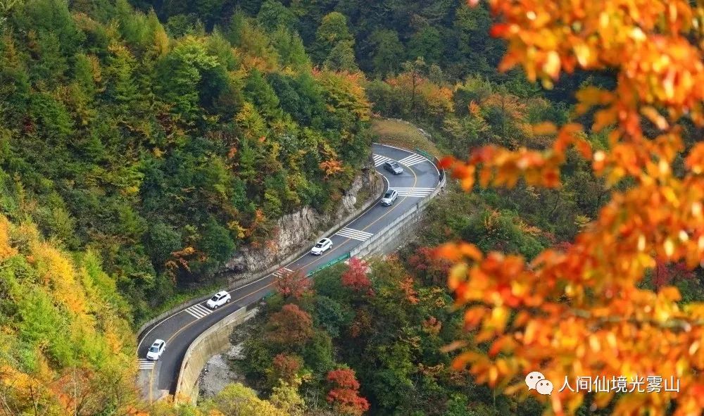 最美川西看彩林推荐地,美哭了这才是虹口秋天最美的地方