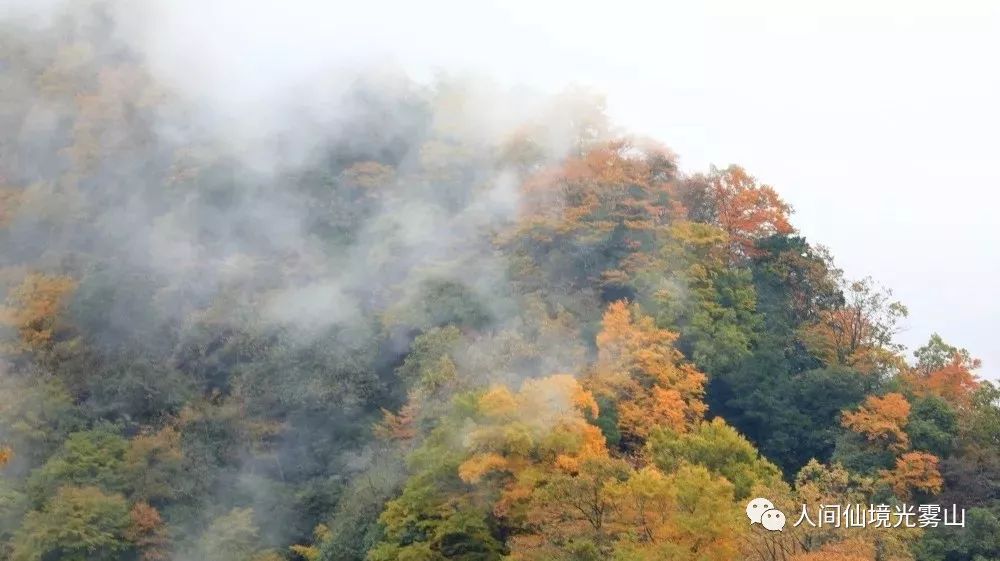 最美川西看彩林推荐地,美哭了这才是虹口秋天最美的地方