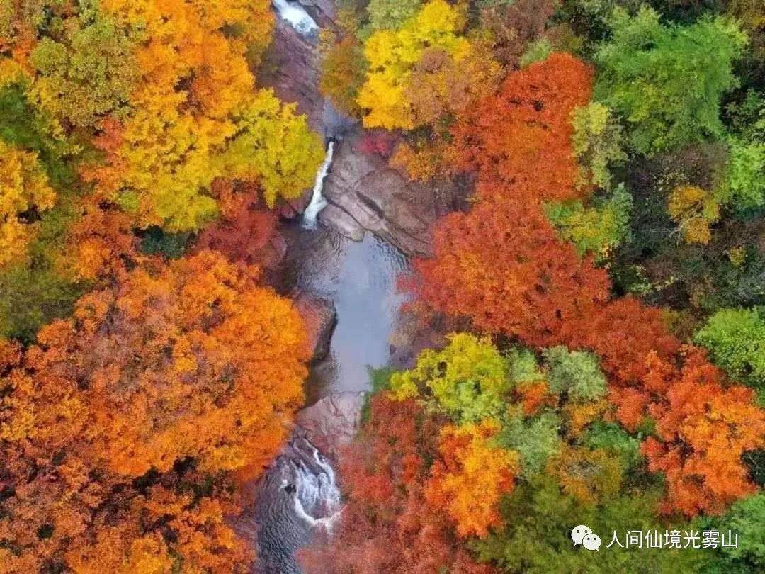 最美川西看彩林推荐地,美哭了这才是虹口秋天最美的地方