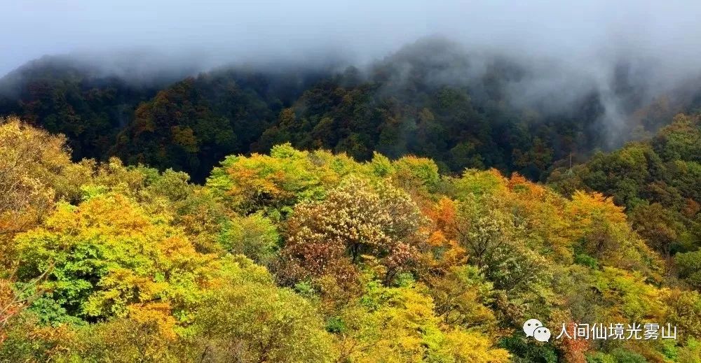 最美川西看彩林推荐地,美哭了这才是虹口秋天最美的地方