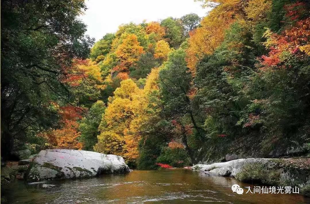 最美川西看彩林推荐地,美哭了这才是虹口秋天最美的地方