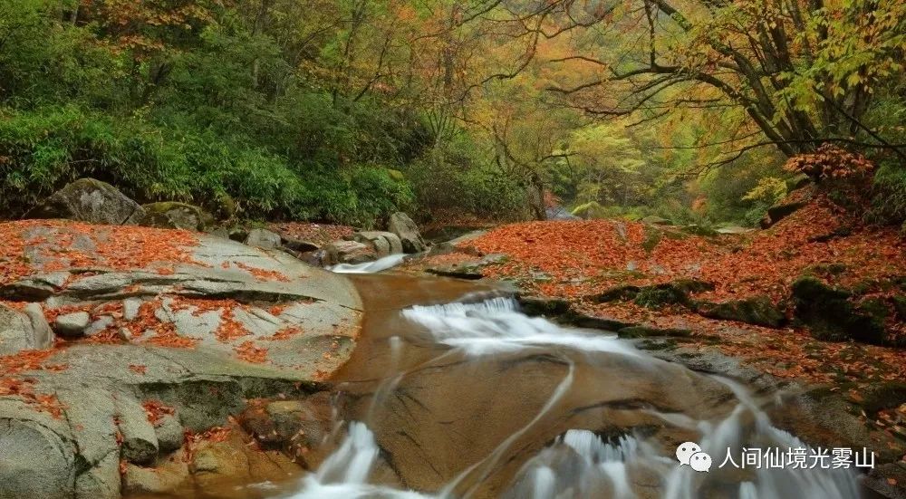 最美川西看彩林推荐地,美哭了这才是虹口秋天最美的地方