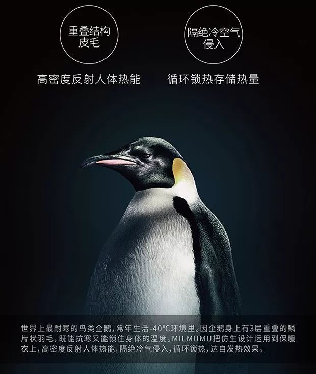 超级保暖发热内衣冬天,电热毯保暖内衣