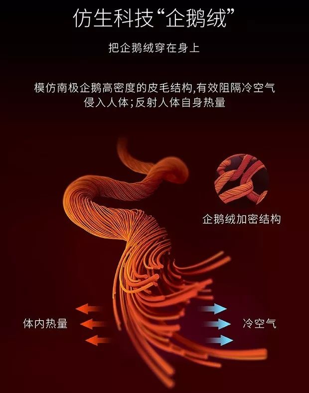 超级保暖发热内衣冬天,电热毯保暖内衣