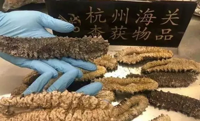 加拿大超市华人抢购,加拿大海参产品