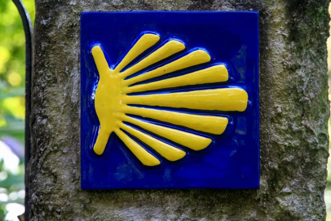 823km的步履不停，每个人心中都有一条朝圣之路