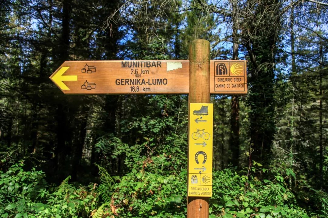 823km的步履不停，每个人心中都有一条朝圣之路