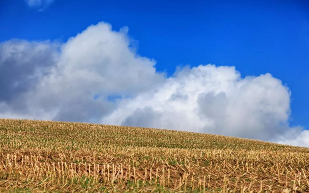 823km的步履不停，每个人心中都有一条朝圣之路