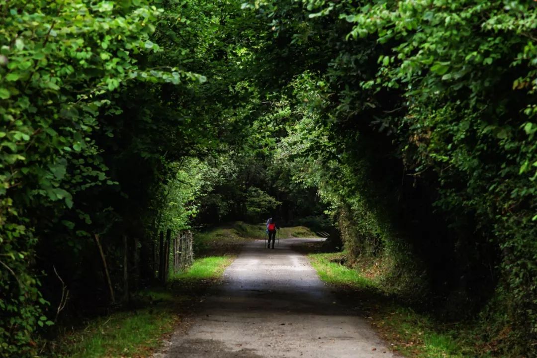 823km的步履不停，每个人心中都有一条朝圣之路