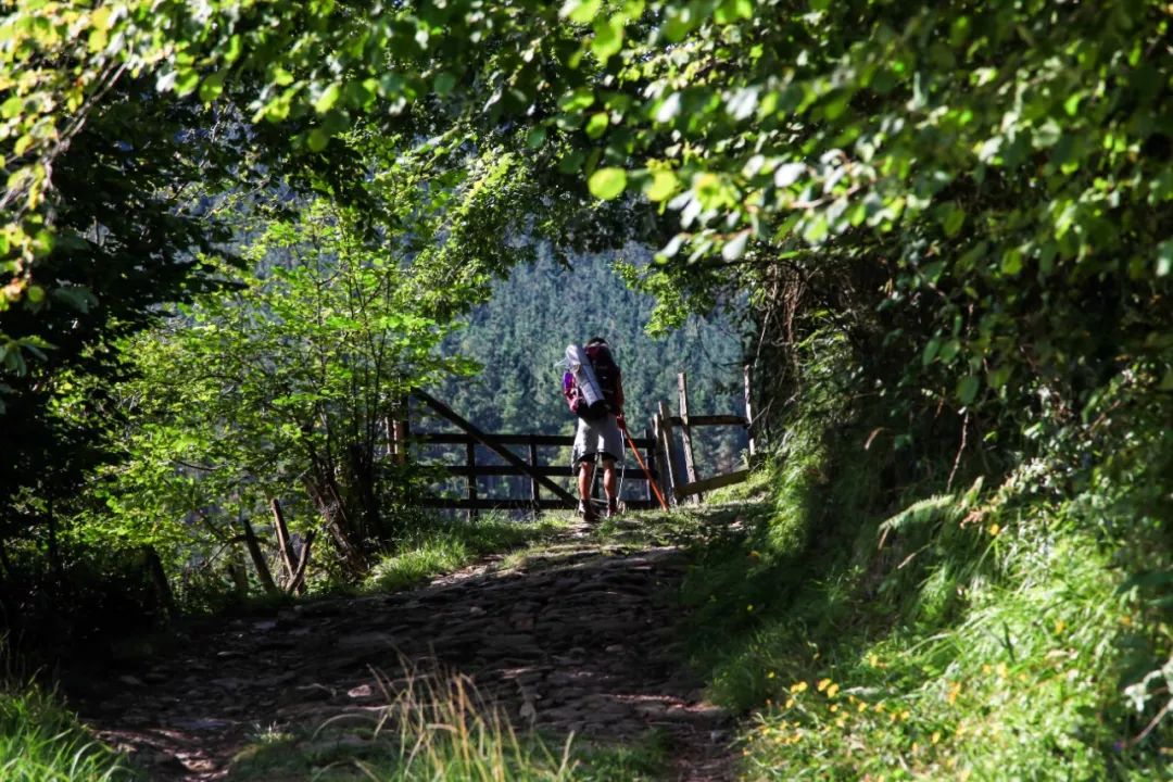 823km的步履不停，每个人心中都有一条朝圣之路