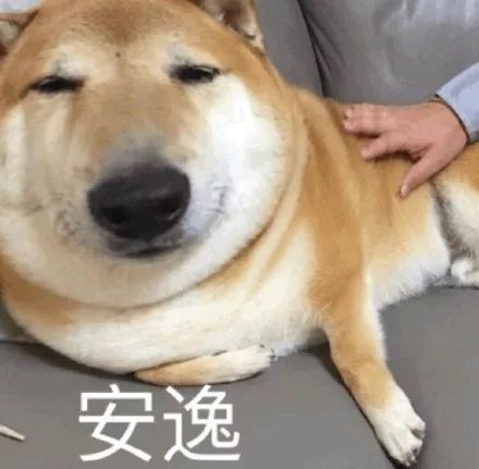 比胖更可怕的竟然是秃头！看完不敢减肥了