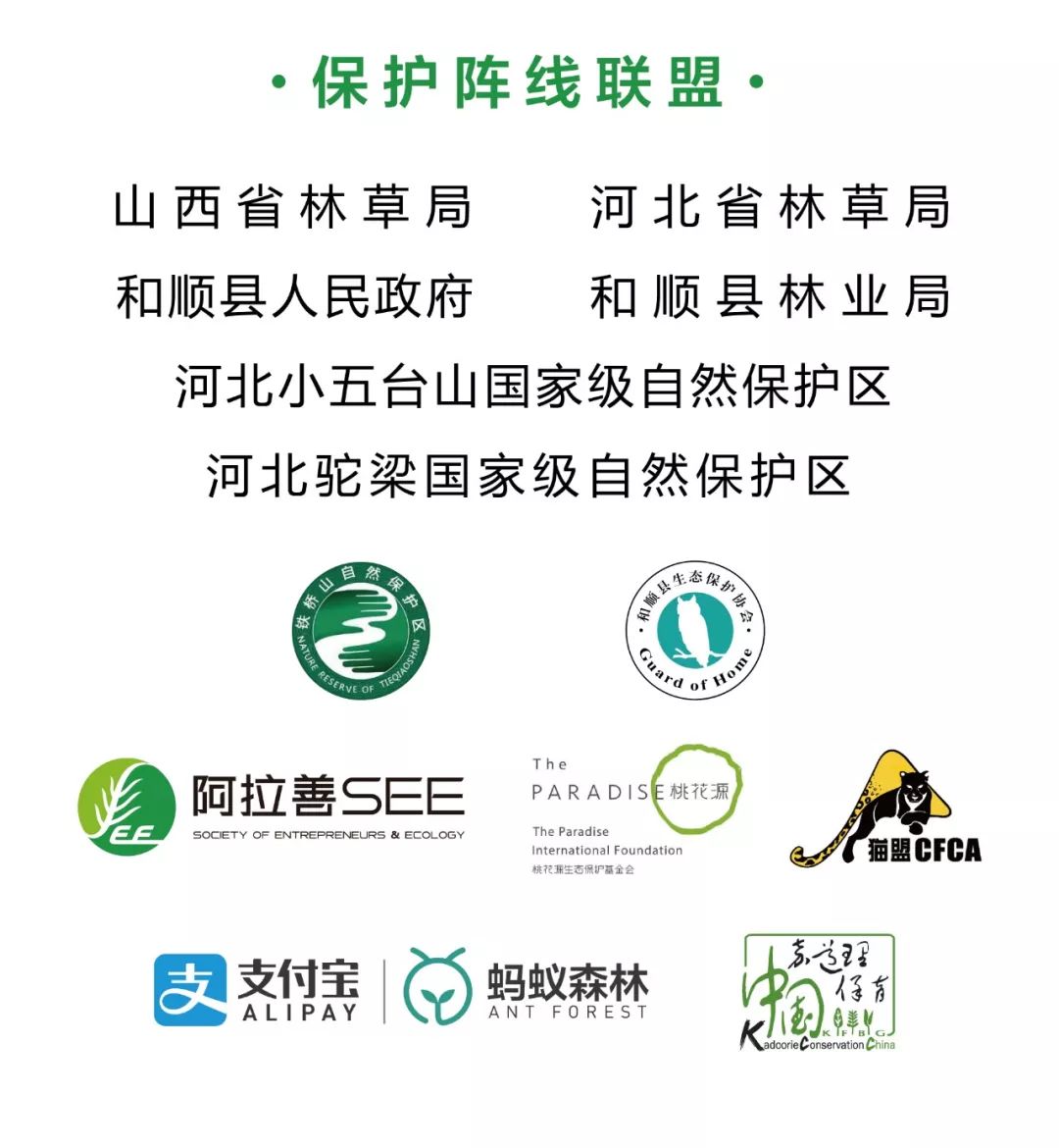 我的野保坑是这样填出来的：打豆豆，就酱