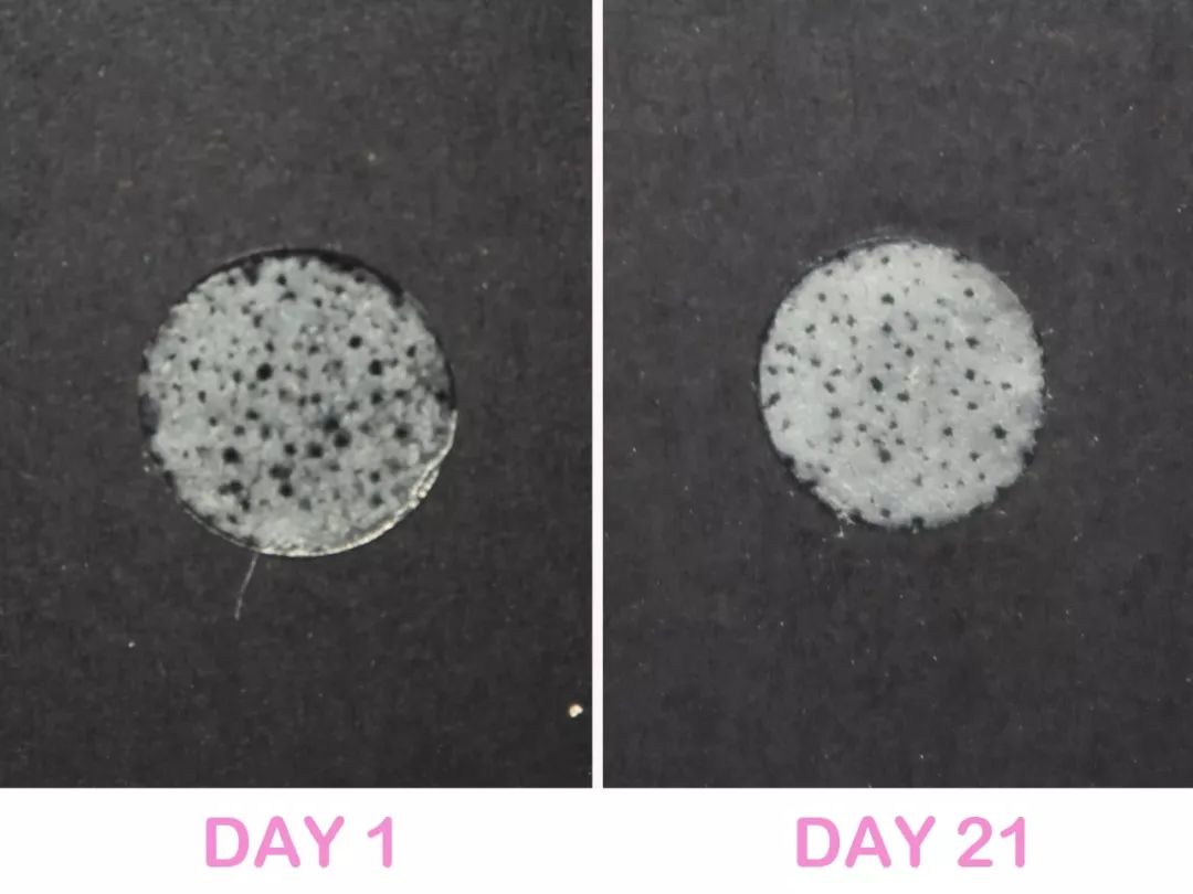 深度测评报告2019,2019深度测评