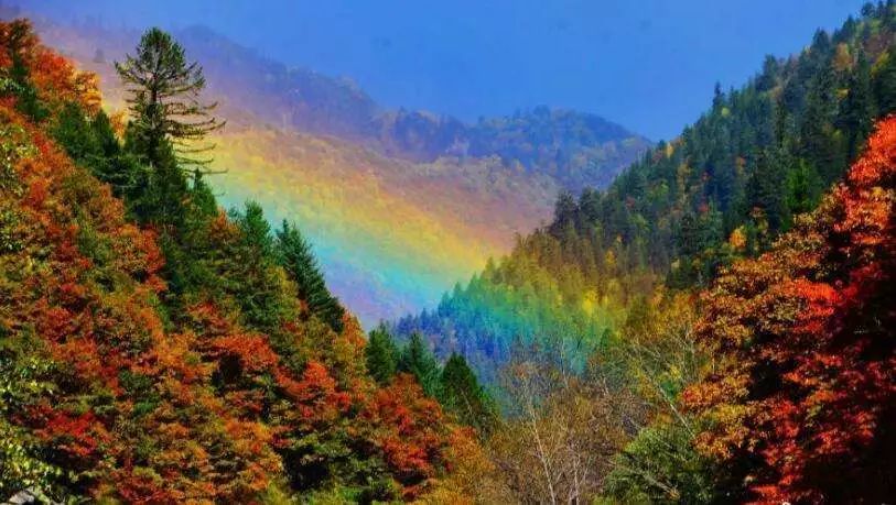 最美川西看彩林推荐地,美哭了这才是虹口秋天最美的地方