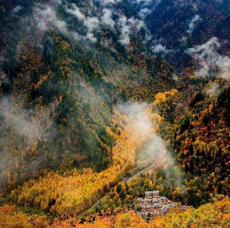 最美川西看彩林推荐地,美哭了这才是虹口秋天最美的地方