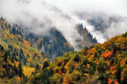 最美川西看彩林推荐地,美哭了这才是虹口秋天最美的地方