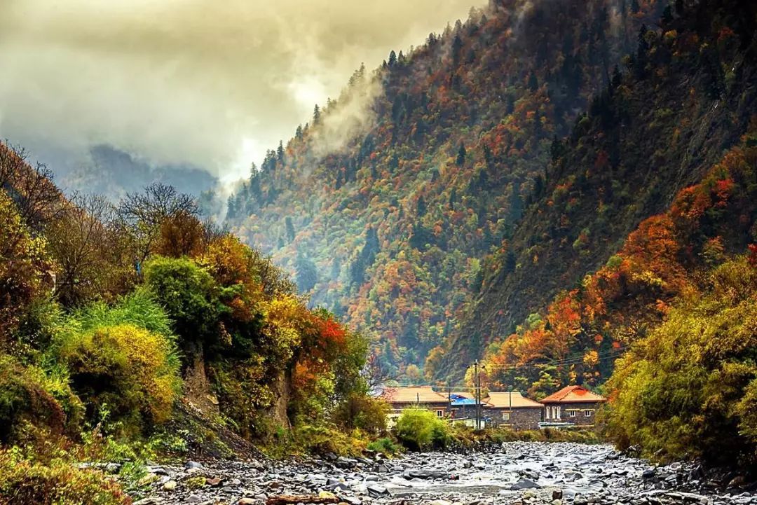 最美川西看彩林推荐地,美哭了这才是虹口秋天最美的地方