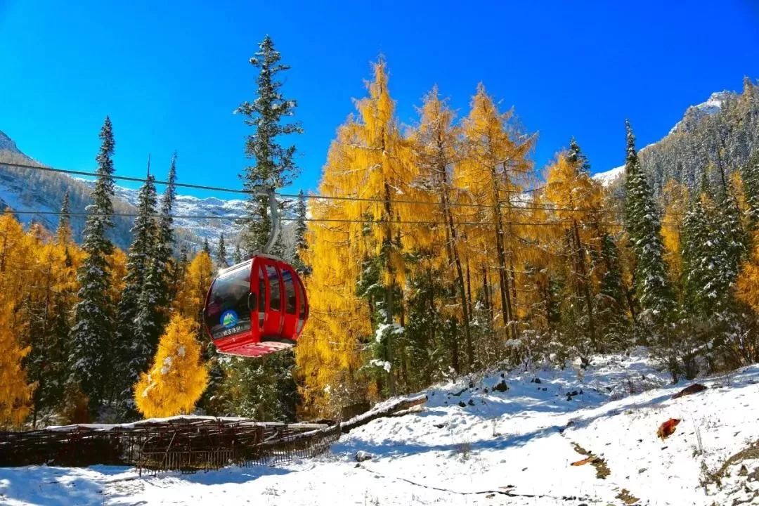 最美川西看彩林推荐地,美哭了这才是虹口秋天最美的地方