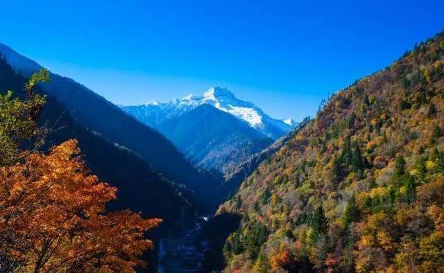 最美川西看彩林推荐地,美哭了这才是虹口秋天最美的地方