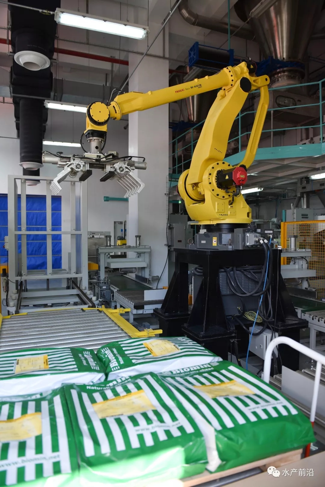 霉菌毒素害猪怎么治,常见霉菌毒素危害