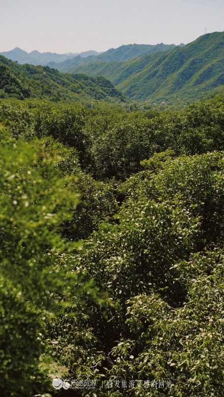 蜡笔森林在哪,蜡笔森林亲子游