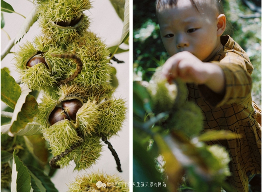 蜡笔森林在哪,蜡笔森林亲子游