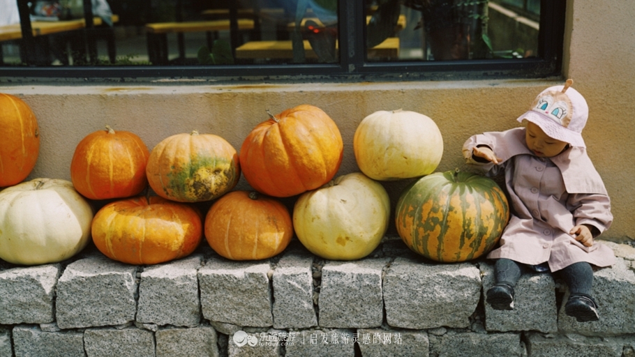 蜡笔森林在哪,蜡笔森林亲子游