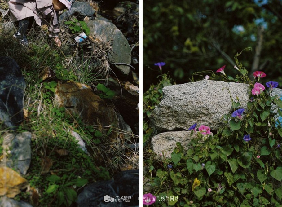 蜡笔森林在哪,蜡笔森林亲子游