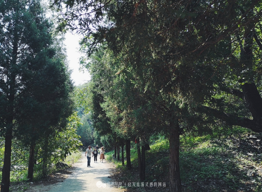 蜡笔森林在哪,蜡笔森林亲子游