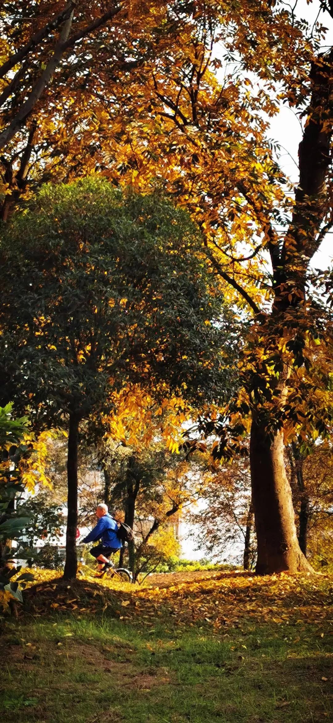 四川旅游浮云牧场1000块钱能玩,四川古村落旅游景点推荐