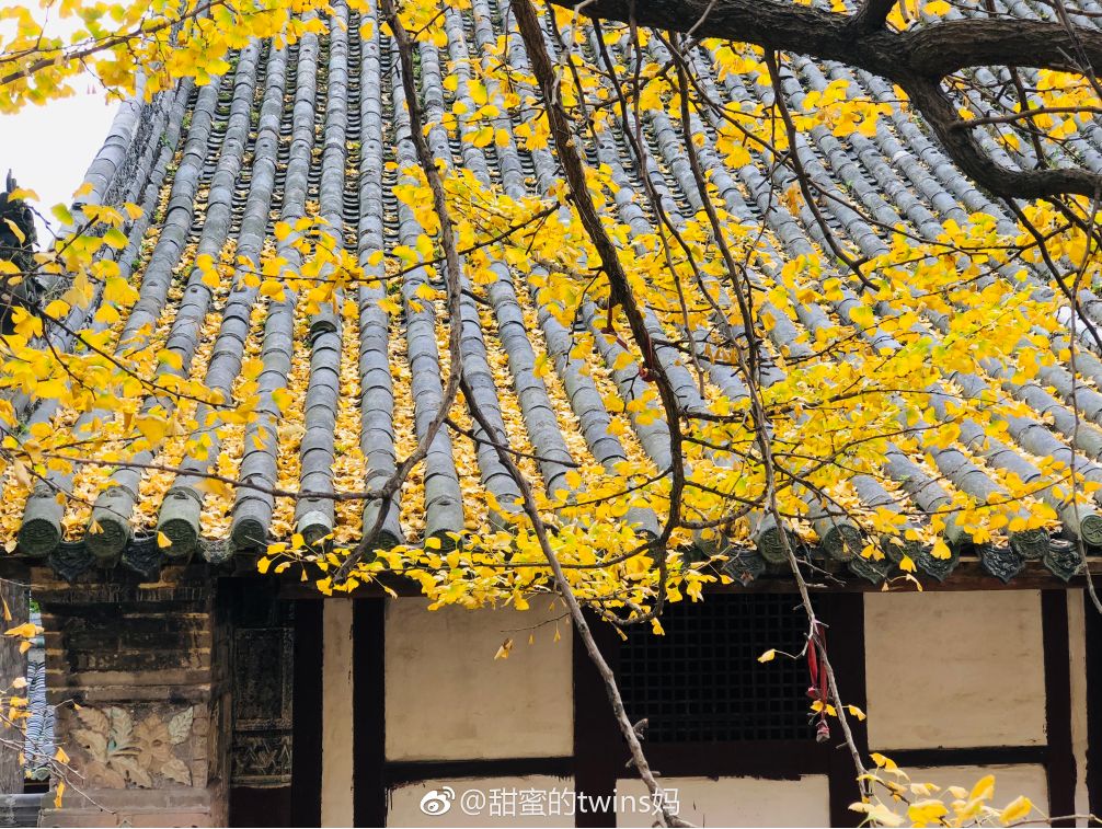 四川旅游浮云牧场1000块钱能玩,四川古村落旅游景点推荐